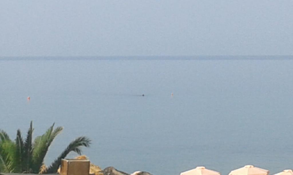 פראליה דיוניסיו Seaside Studios מראה חיצוני תמונה
